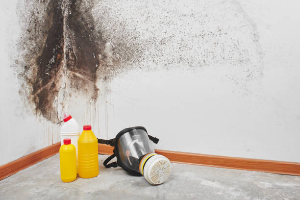 Best Mold Testing  in Othello, WA