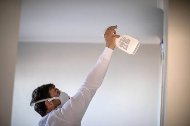 Office Mold Removal Services in Othello, WA