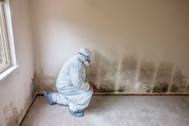 Best Mold Testing  in Othello, WA